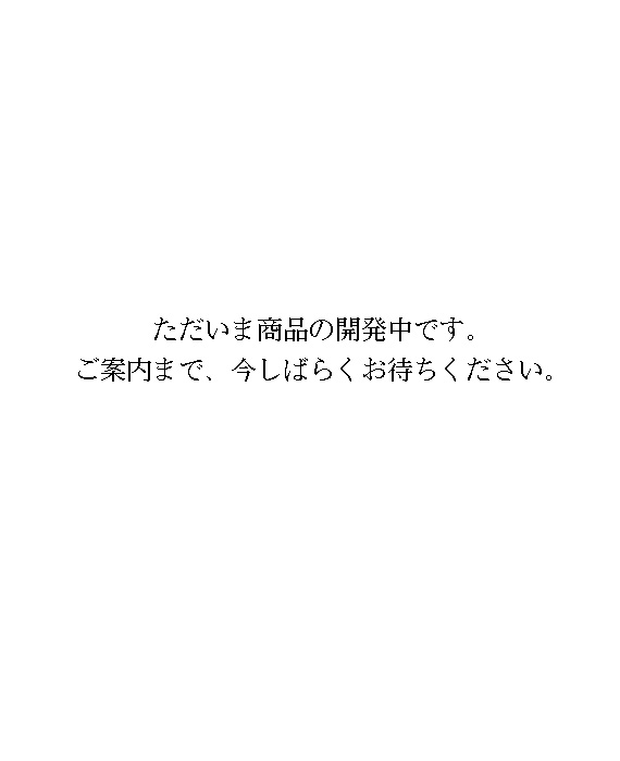 ܏i̊JłBē܂ŁA΂炭҂B